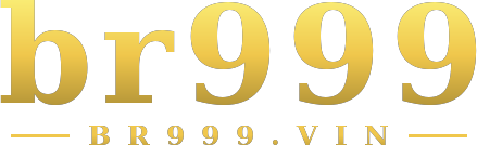 br999 logo